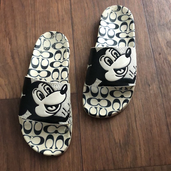 Coach slides - Picture 2 of 4